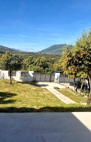 Jardín